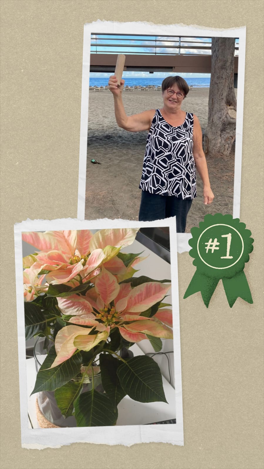 Viikon 51 mölkkymestari on Kerttu - Onneksi olkoon!